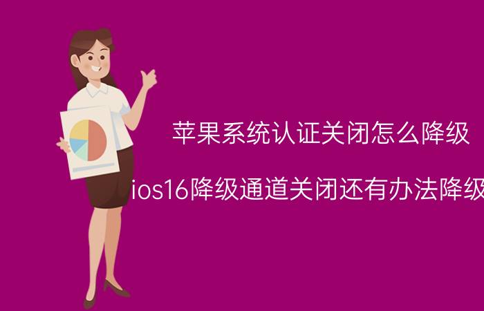 苹果系统认证关闭怎么降级 ios16降级通道关闭还有办法降级吗？